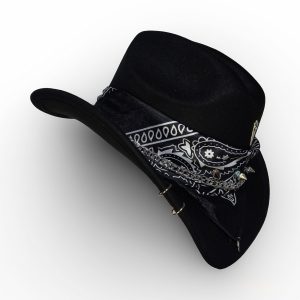 Vaquero Renegado
