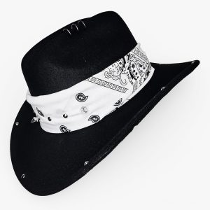 Vaquero Bandido